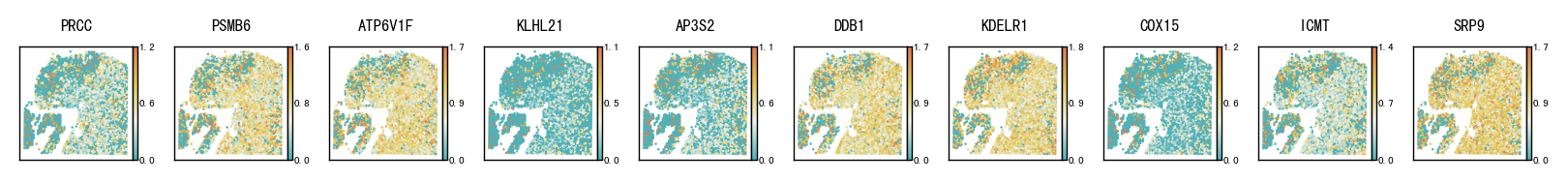 ../_images/notebooks_Pathological_region_detection_tutorial_20_1.png
