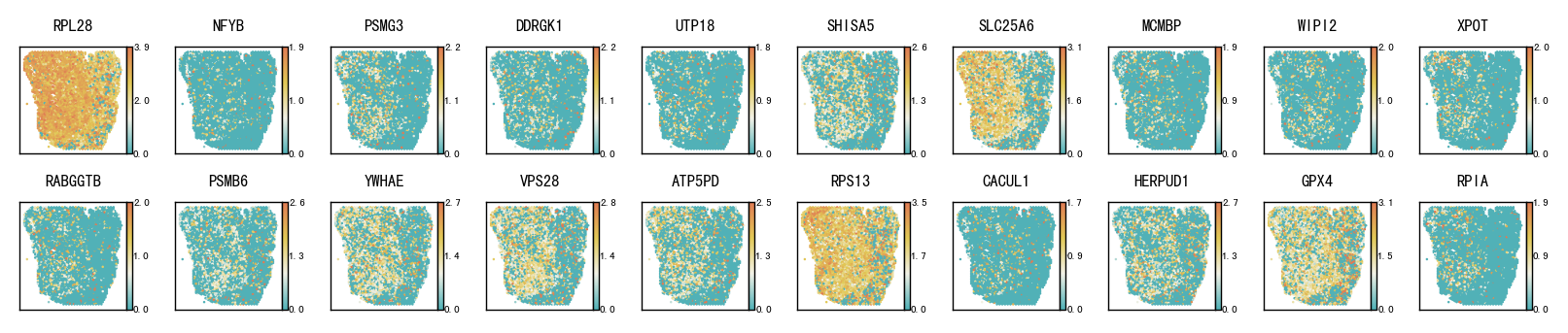../_images/notebooks_Pathological_region_detection_tutorial_24_1.png