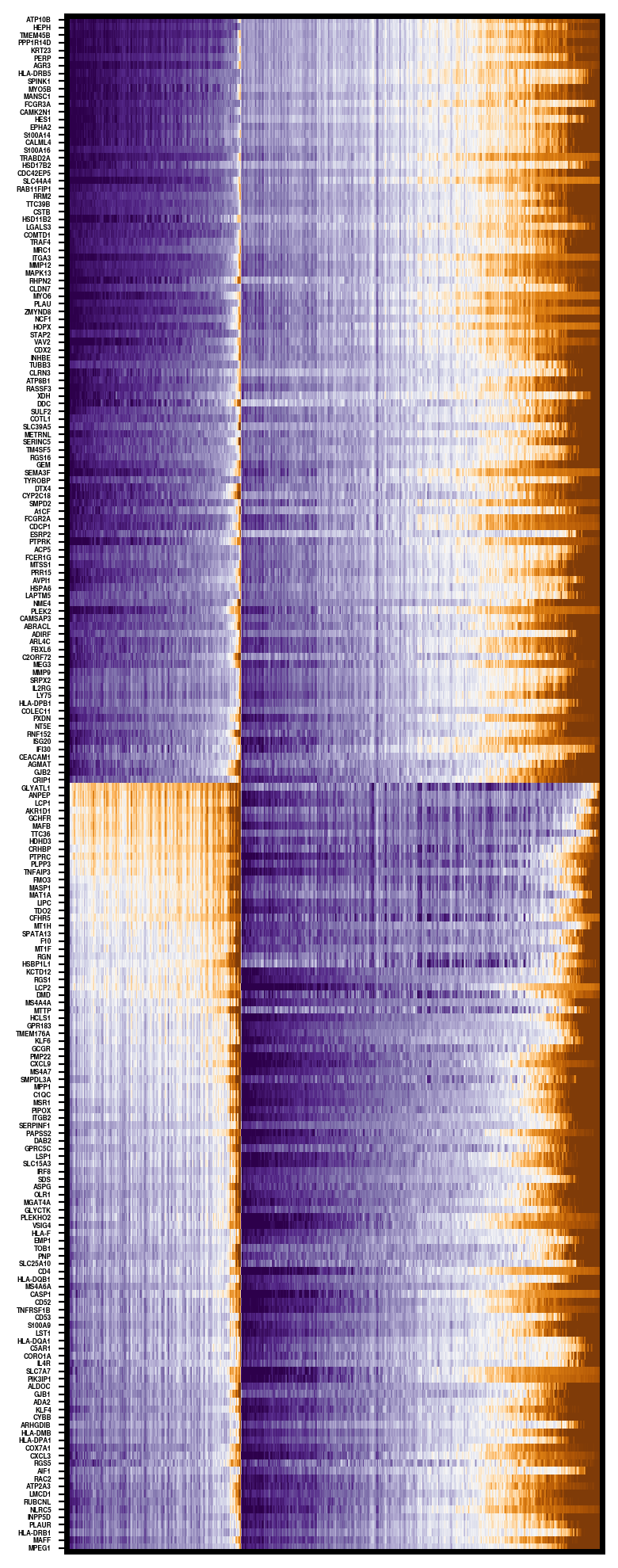../_images/notebooks_Pathological_region_detection_tutorial_25_0.png